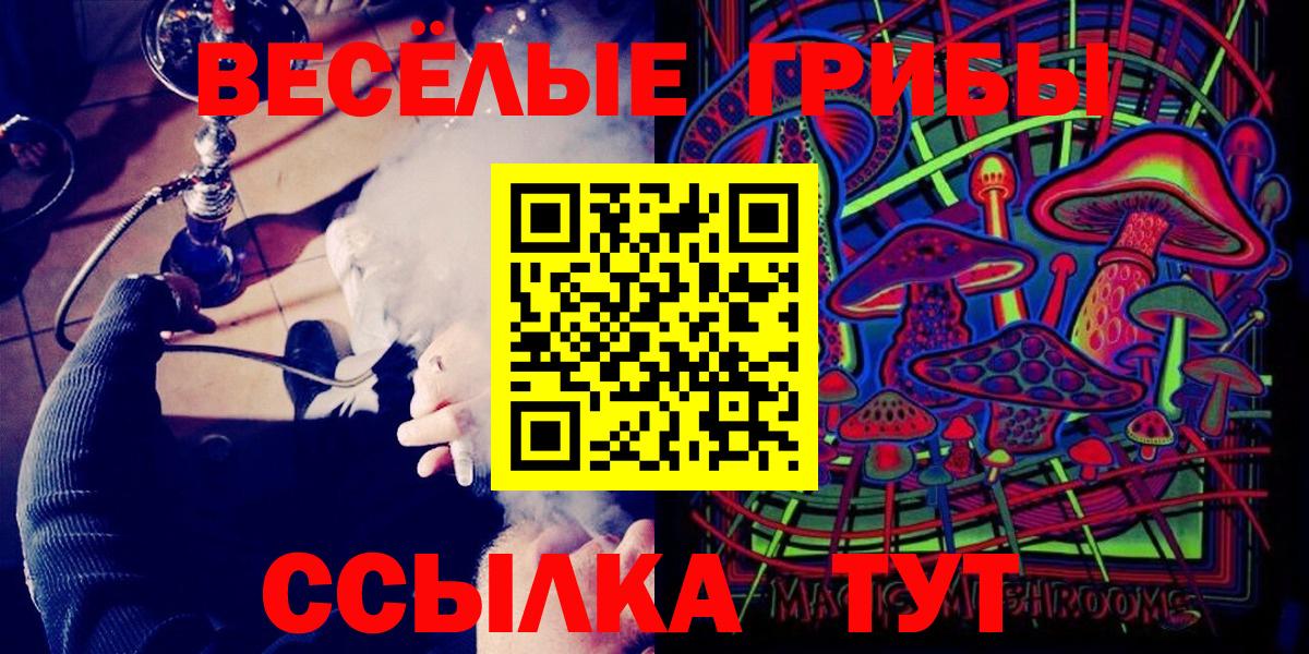Псилоцибиновые грибы прущие грибы Элиста