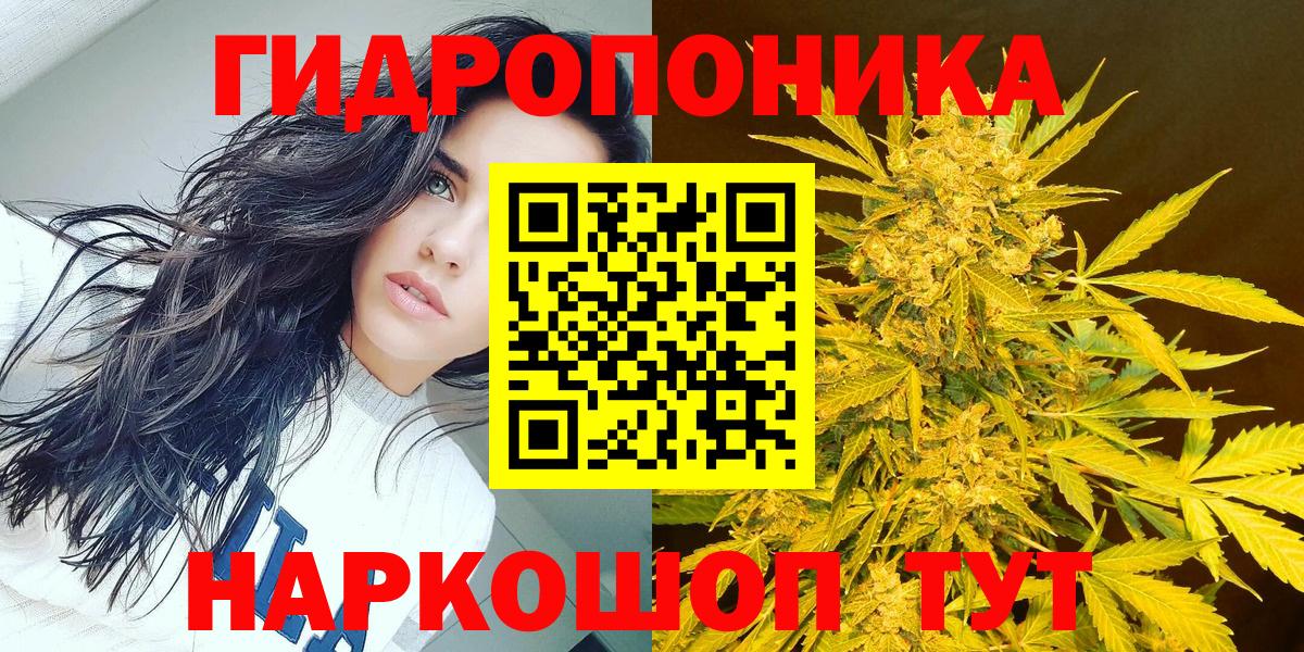 МАРИХУАНА семена  Вход с VPN  Элиста  МАРИХУАНА Ganja  Канабис план  Бошки марихуана гибрид 